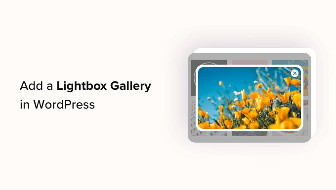 Añade una galería en WordPress con efecto lightbox Añade una galería en WordPress con efecto lightbox